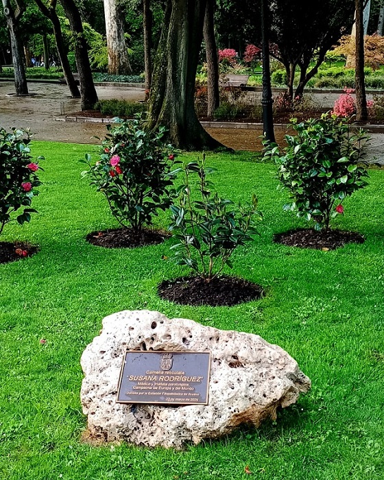 Camelia general 3